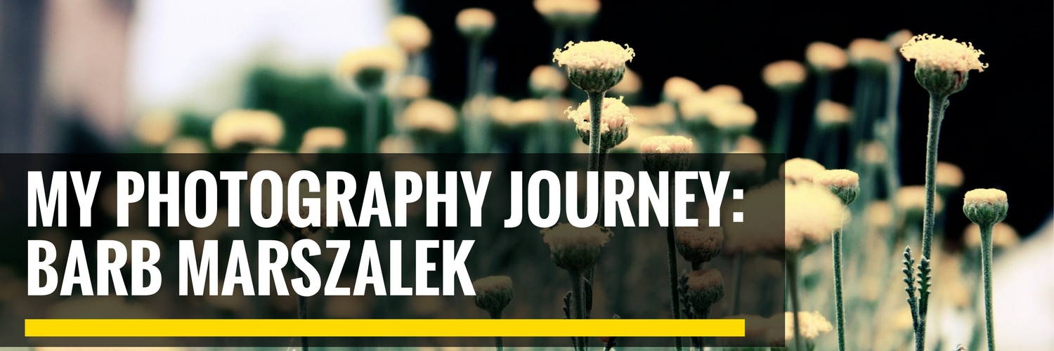 My Photography Journey: Barb Marszalek