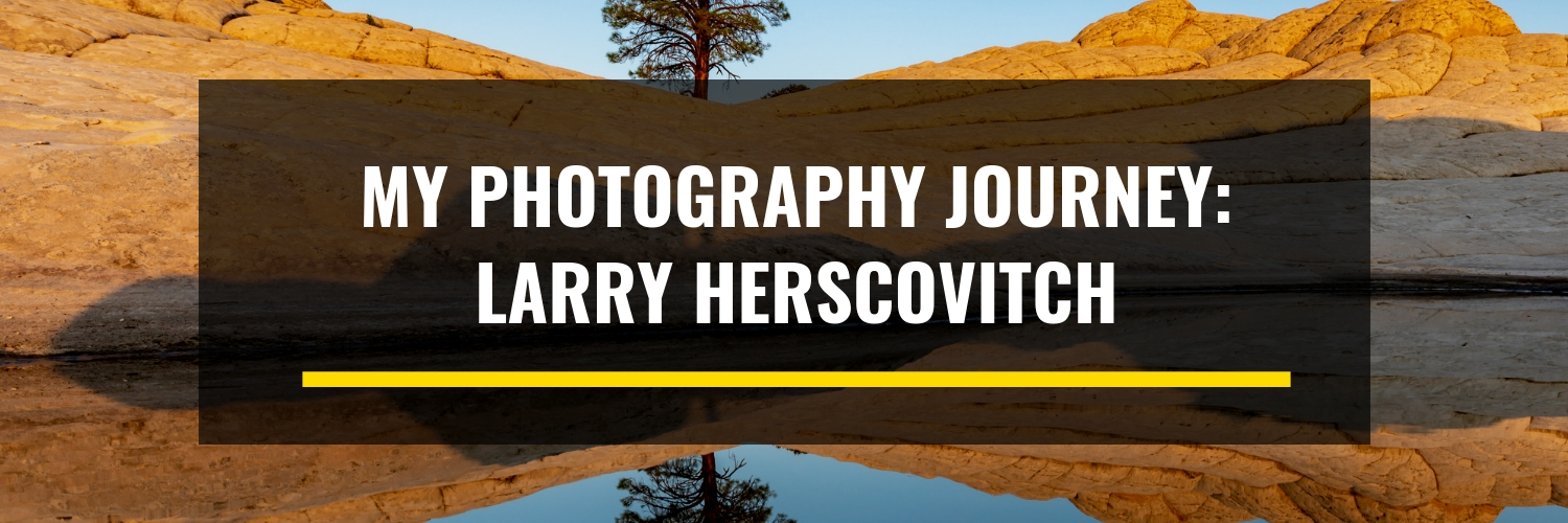 My Photography Journey: Larry Herscovitch