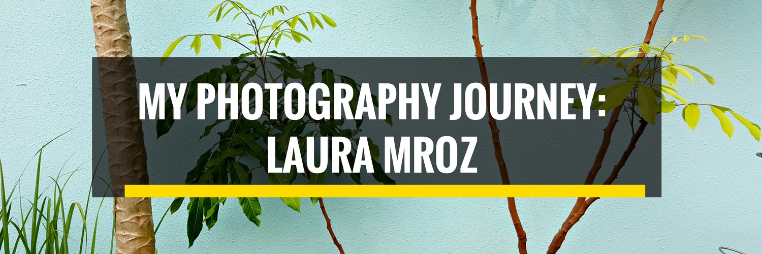 My Photography Journey: Laura Mroz