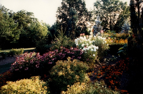 Humber Arboretum