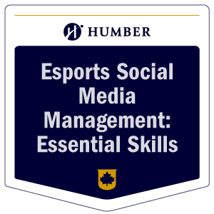 esports social media management: essential skills