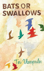 Bats or Swallows