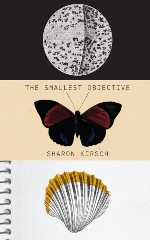 The Smallest Object
