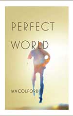 Perfect World book cover