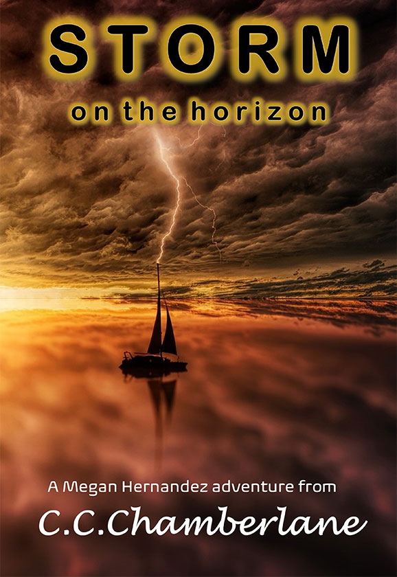 STORM on the horizon cover