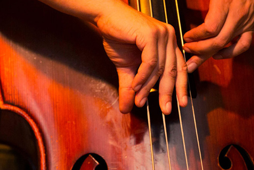 close up of hand playing double bass
