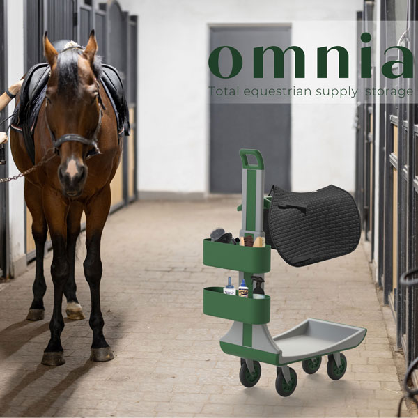 Enhanced Work Station for Horse Grooms
